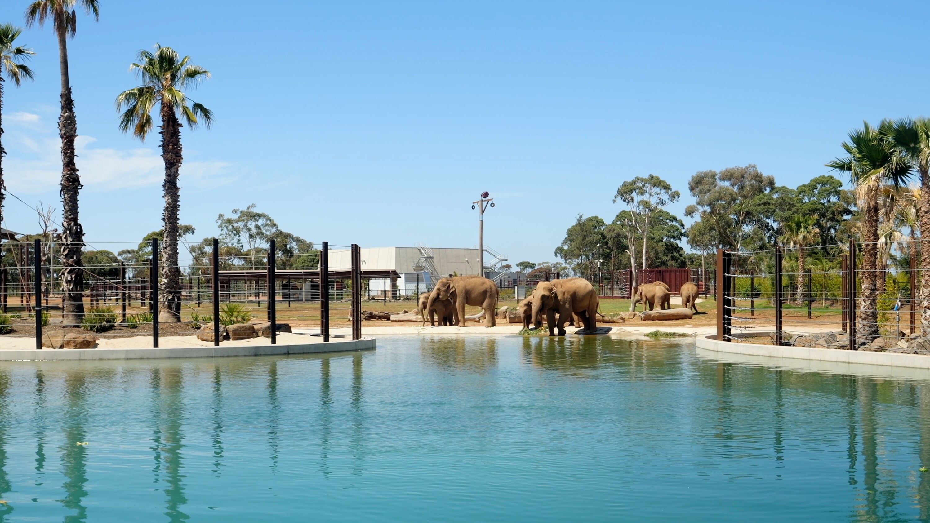 Elephant Trail at Werribee Open Range Zoo