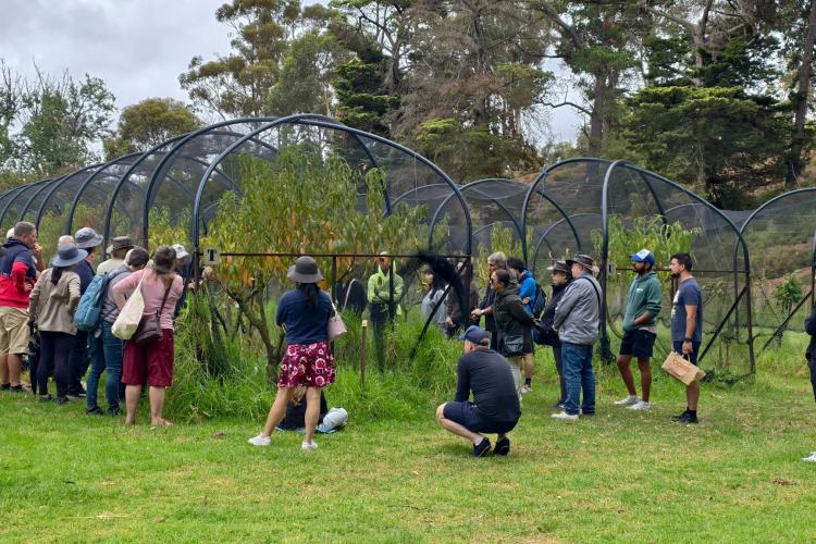 group of people at an orchard