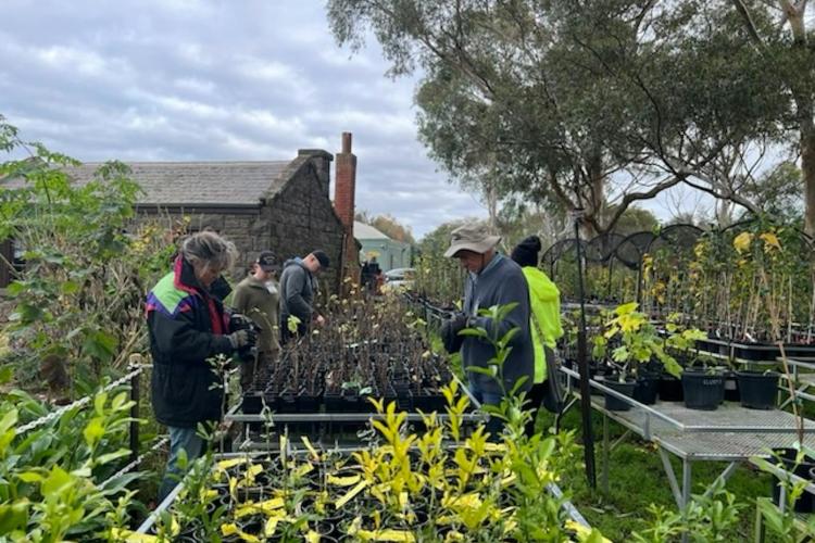 volunteers in a nursery