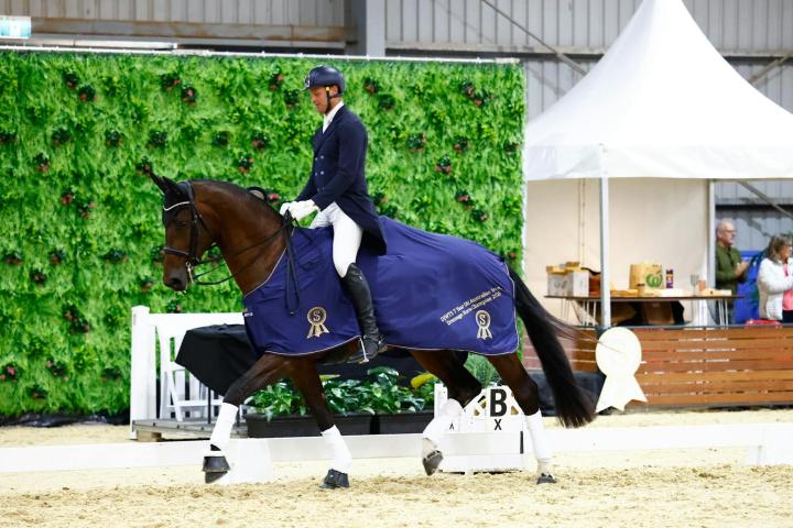 Dressage and Jumping with the Stars